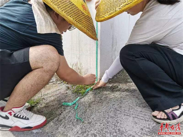 图片 4.png 图片 4.png